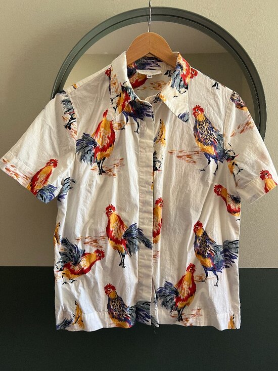Corey Lynn Calter Tops - Rooster Buttondown – M — Corey Lynn Calter